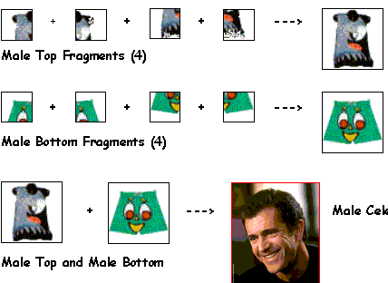 celq.gif(19 kb)